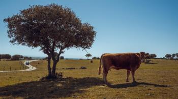 La cantidad  que se invertirá es parte del remanente positivo con que cuenta el Ayuntamiento