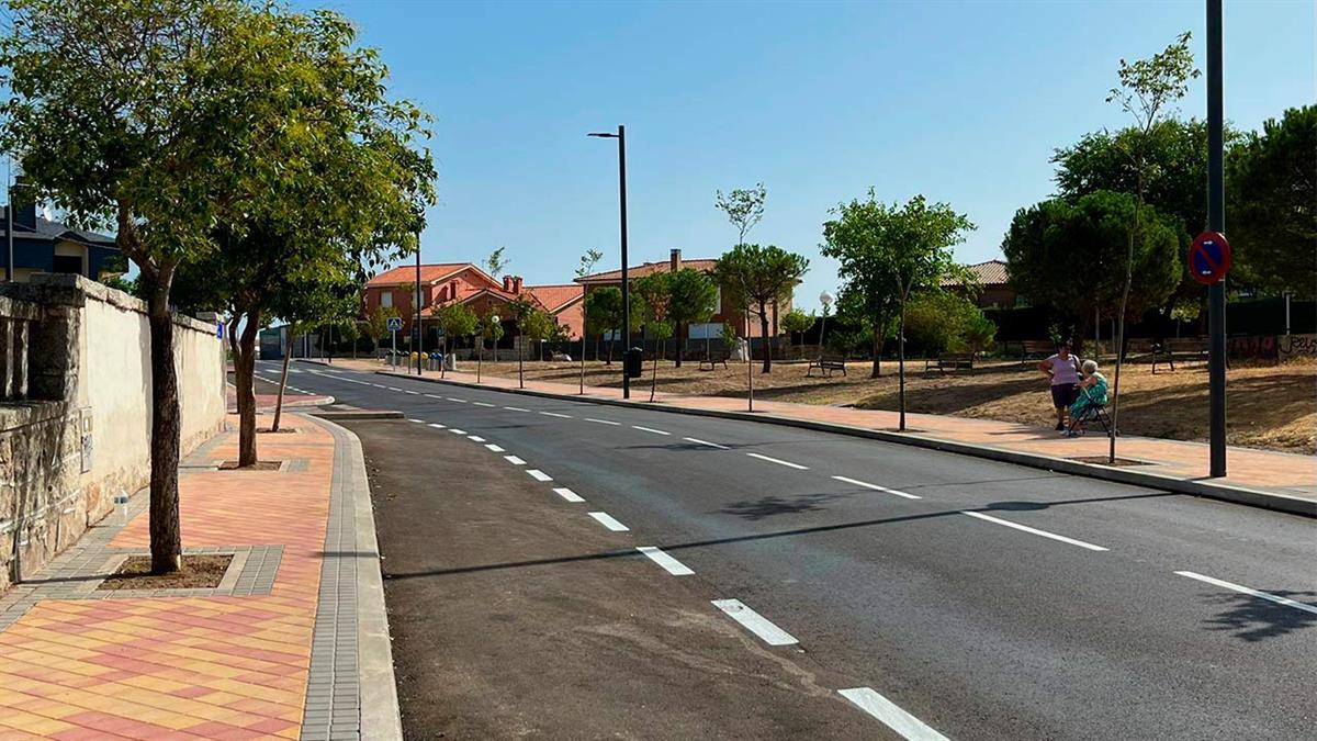 El arbolado crece más del 50%