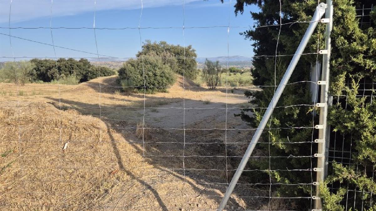 Como primera medida, se ha procedido al vallado perimetral del área de actuación 