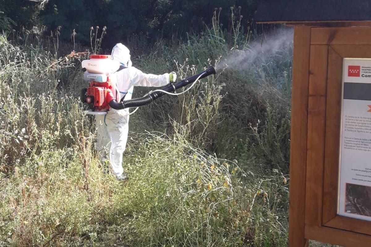 Las tareas serán semanales y finalizarán en octubre. A la par se buzonearán folletos informativos con normas y recomendaciones