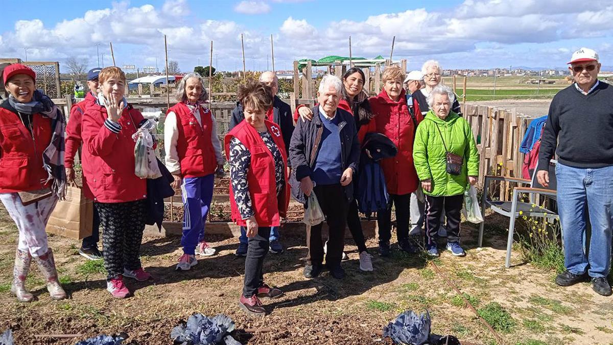La iniciativa de Cruz Roja fomenta la participación de mayores en el aprendizaje de técnicas de cultivo sostenible