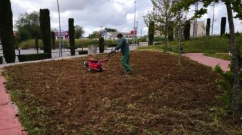 Se quiere mejorar la zona de jardines  