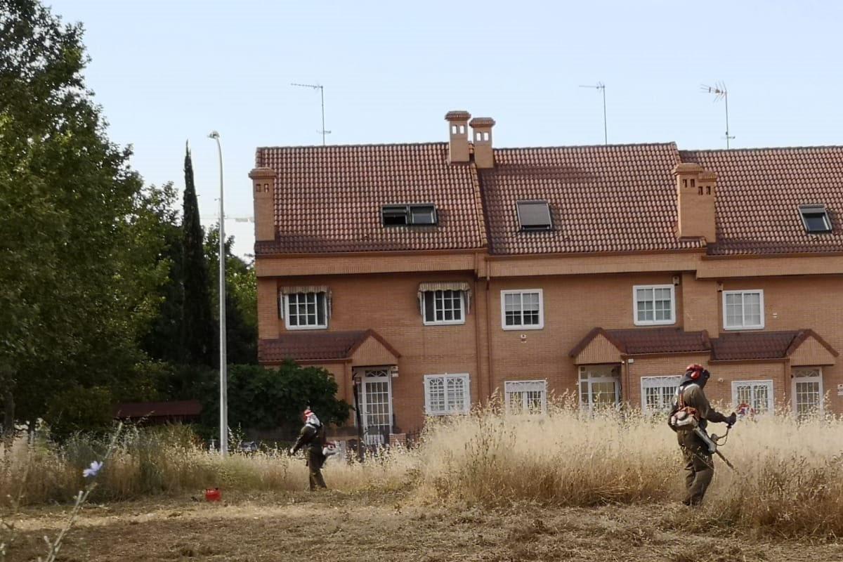 Los trabajos se prolongarán durante cinco semanas
