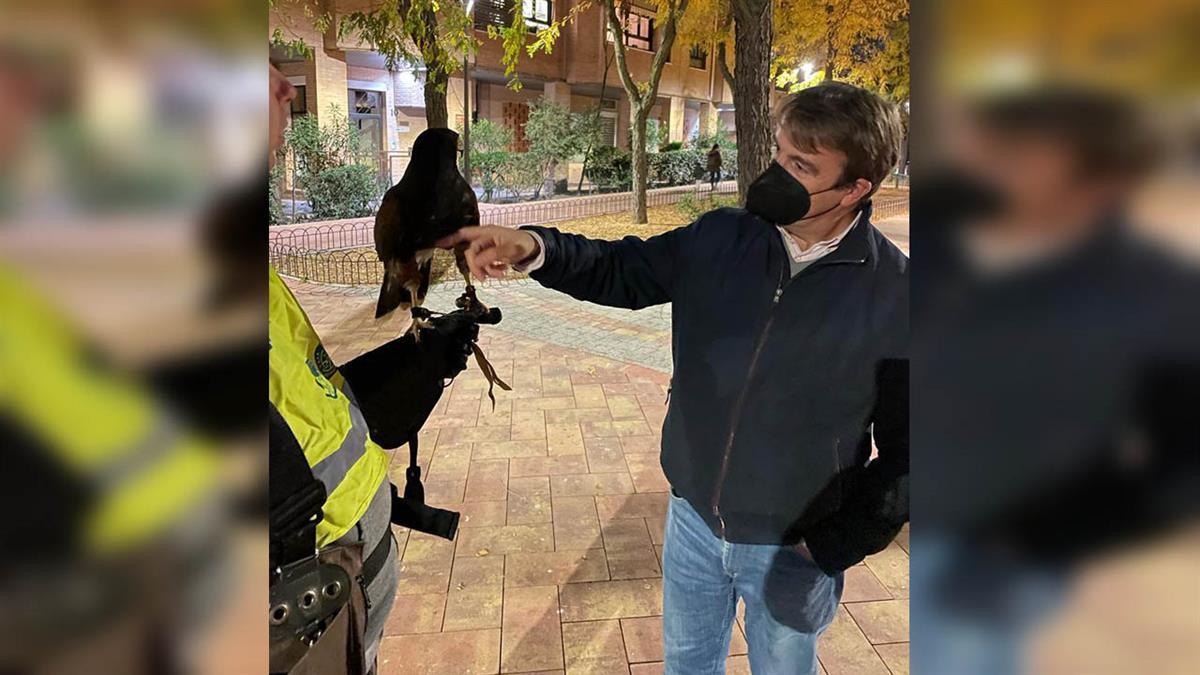 Dos veces al año se llevan a acabo estas actuaciones para solucionar las molestias en los sectores Descubridores y Literatos