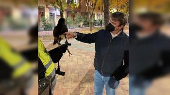 Dos veces al año se llevan a acabo estas actuaciones para solucionar las molestias en los sectores Descubridores y Literatos