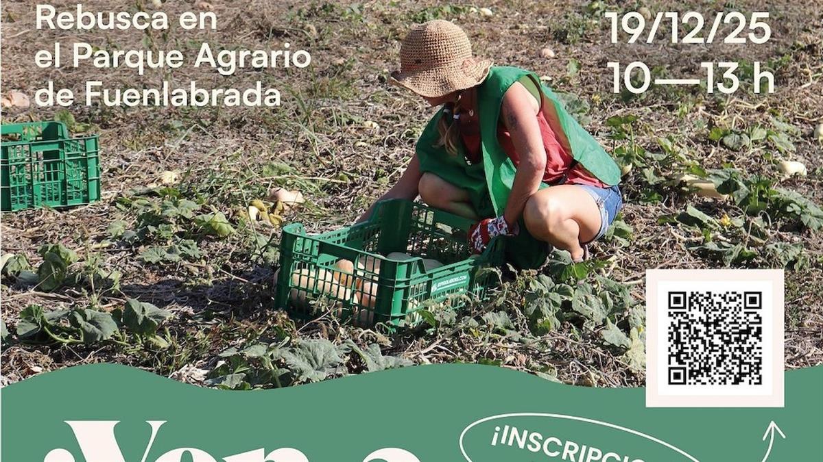 El Ayuntamiento colabora con la iniciativa de la Fundación Espigoladors para crear una comunidad estatal de espigadores