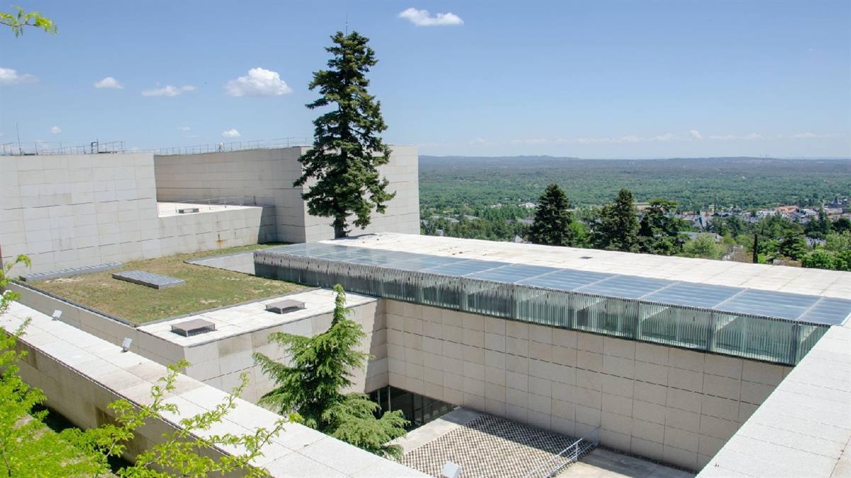 Incluye los servicios necesarios para el desarrollo de la actividad durante 24 meses