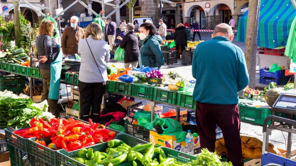 Esta nueva convocatoria de ayudas de la Comunidad de Madrid busca modernizar el sector