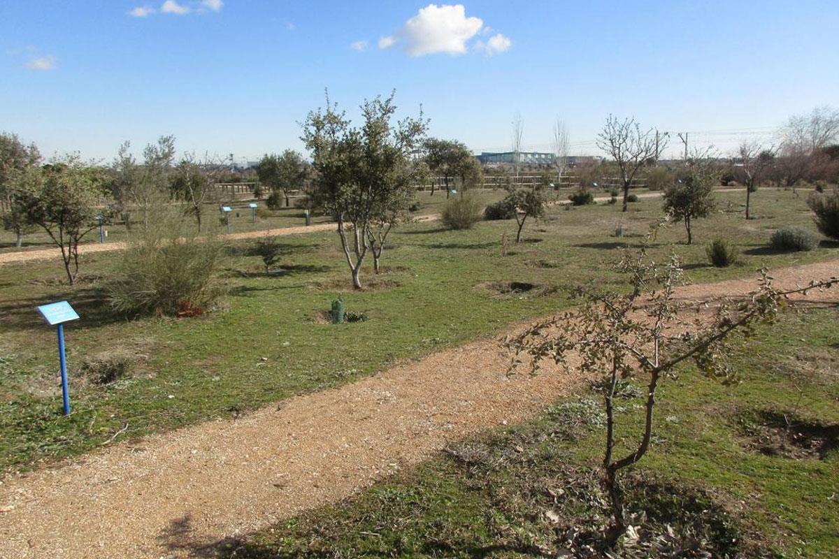 La Comunidad de Madrid invierte una importante suma de dinero en preservar estos parques periurbanos
