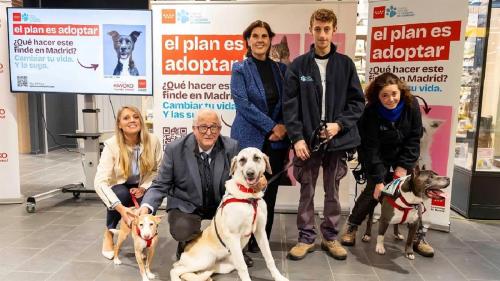 "El Plan es Adoptar", la iniciativa para fomentar la adopción responsable