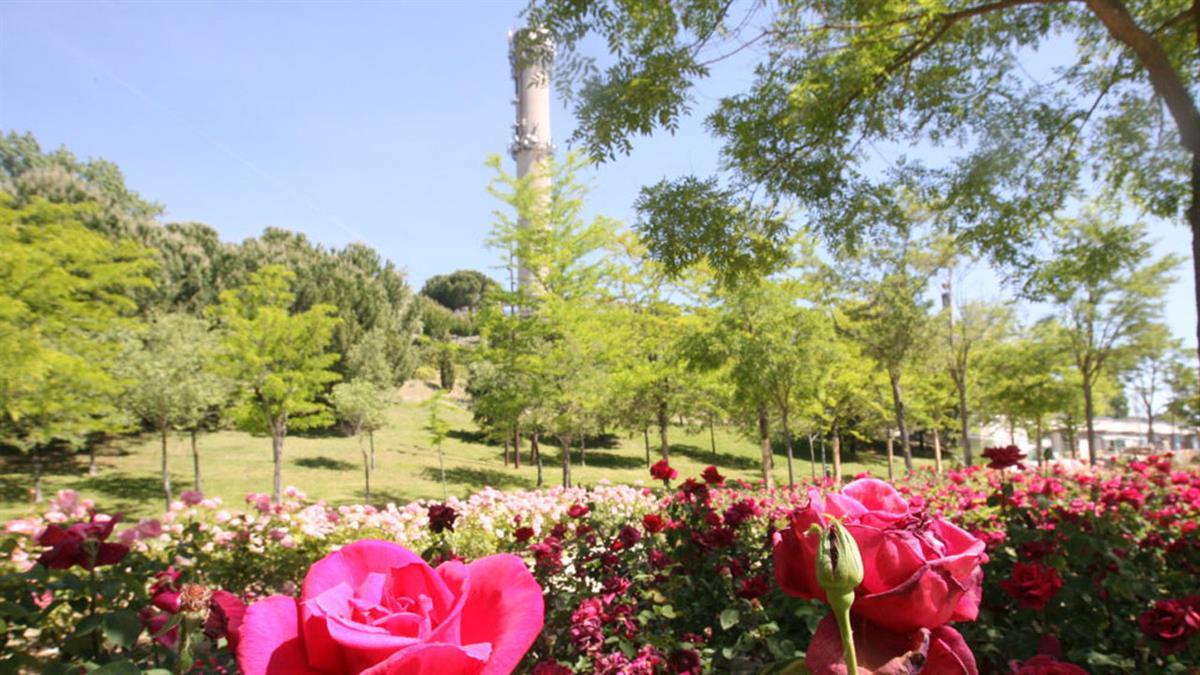 Tres conciertos simultáneos a la luz de la luna