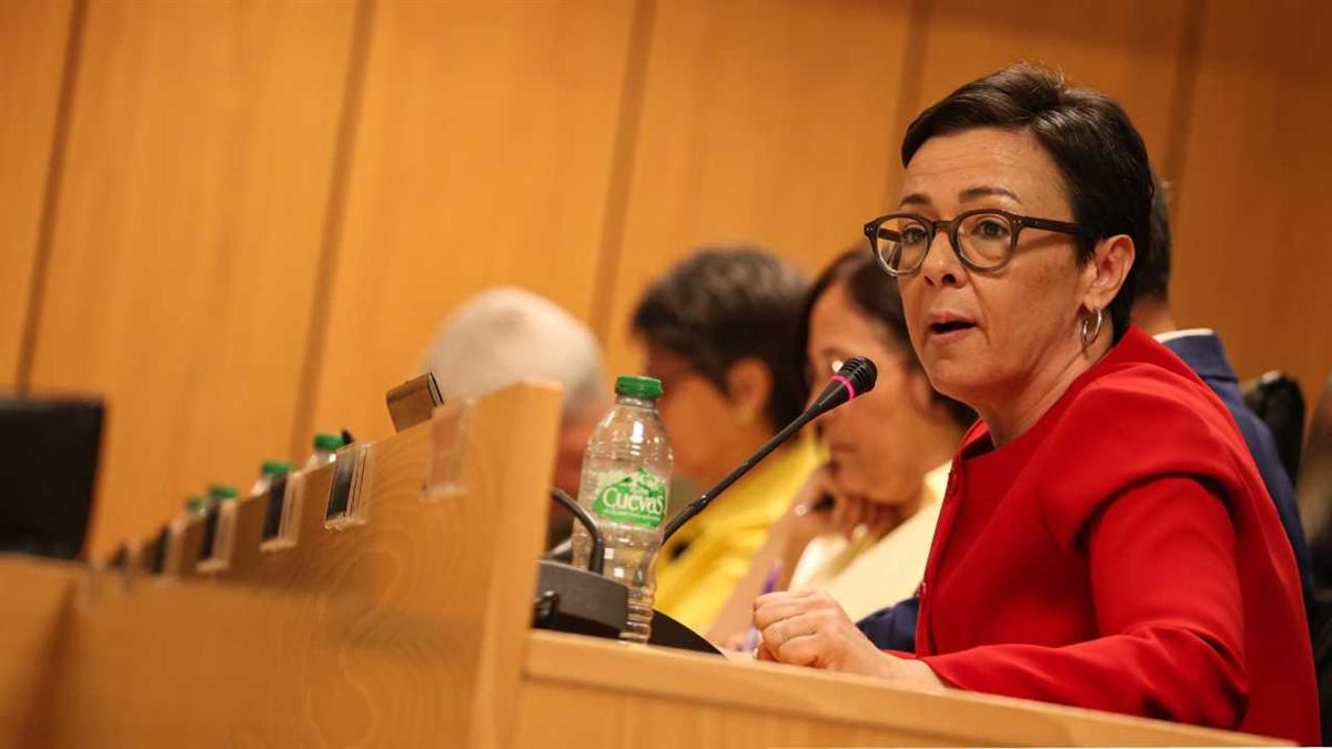 Más Madrid reclama un informe técnico, serio y riguroso que acredite el retorno real