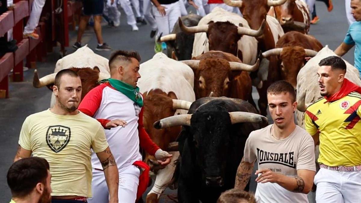 El plazo de entrega se abrirá el 31 de agosto y finalizará el 8 de septiembre.