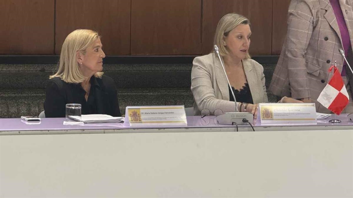 La alcaldesa de Villalba estuvo presente en la Conferencia Sectorial de Igualdad 