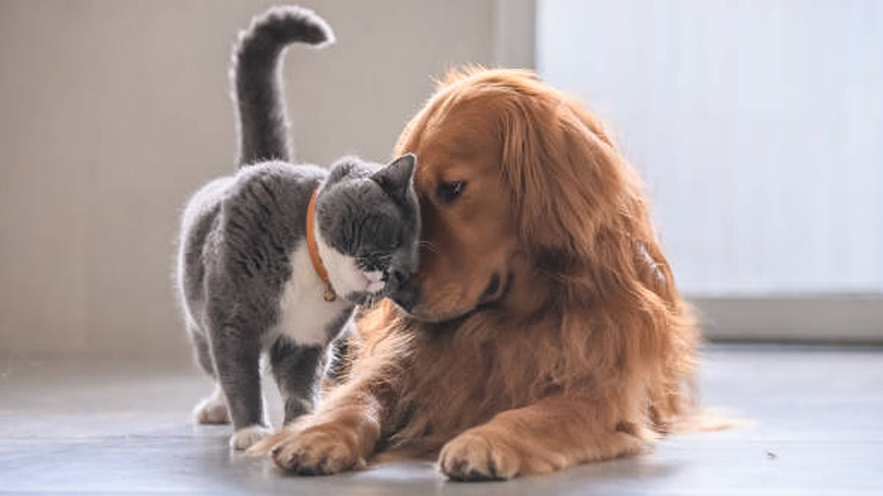 La Comunidad de Madrid abre las puertas de los centros de acogida 