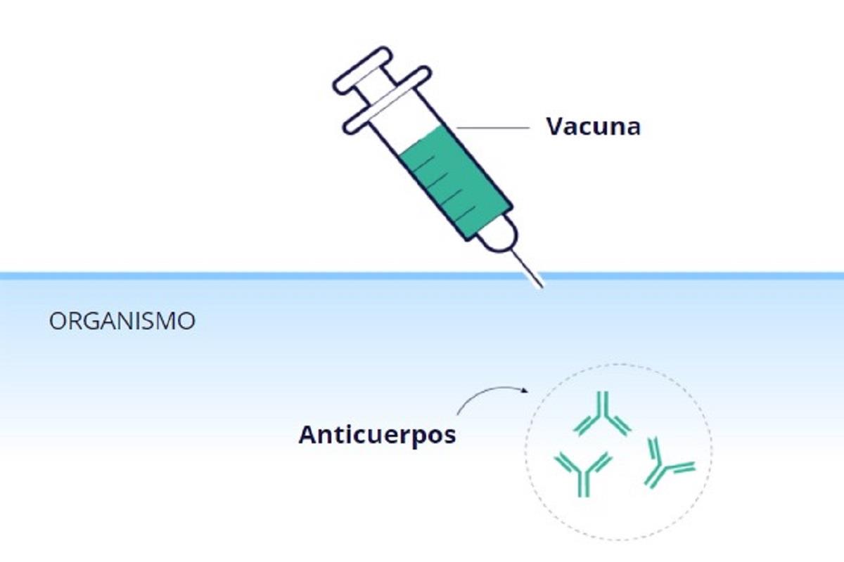 En este artículo resolvemos algunas dudas más frecuentes sobre esta vacuna