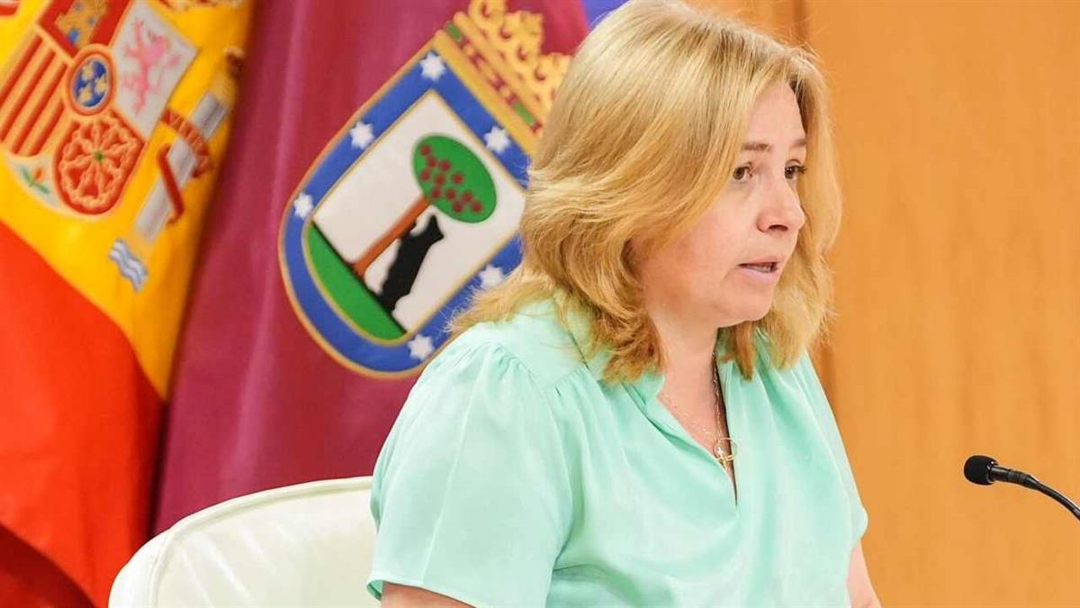 Se trata de un órgano colegiado que sustituye y unifica el Consejo Consultivo