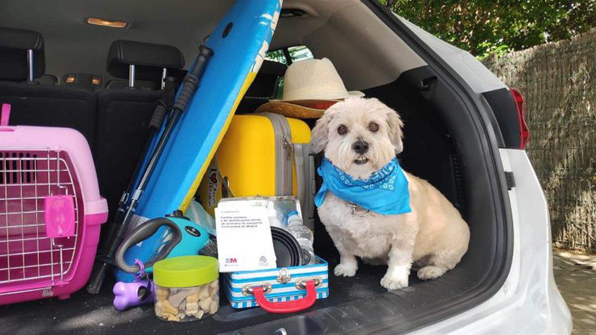 Madrid Salud ha editado una guía con consejos y recomendaciones