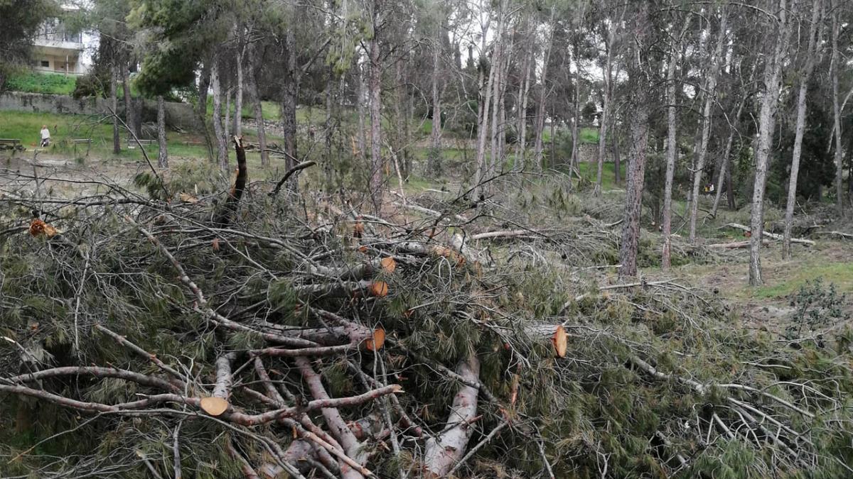 Para reivindicar un plan de actuación tras los daños causados por Filomena