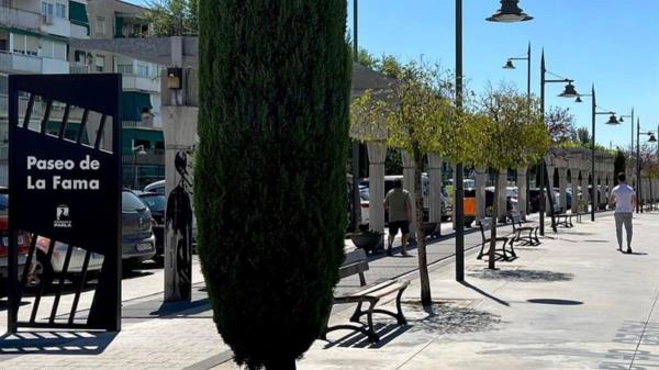 ¡Decide quiénes formarán parte del Paseo de la Fama!