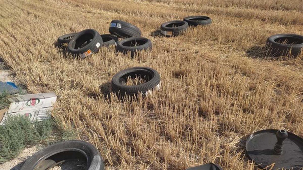 Basta ya de envenenar pinto
