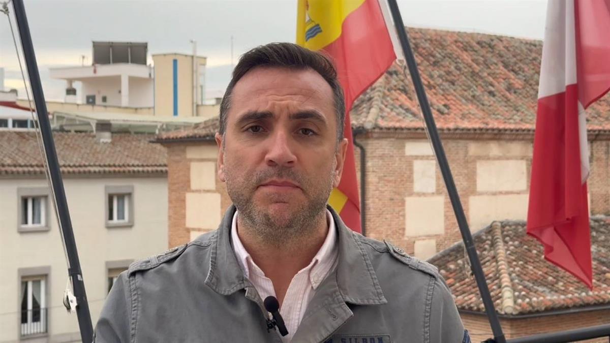 Las actuaciones sobre el arbolado se producen durante todo el año si las circunstancias lo requieren, para evitar riesgos o daños en la vía pública