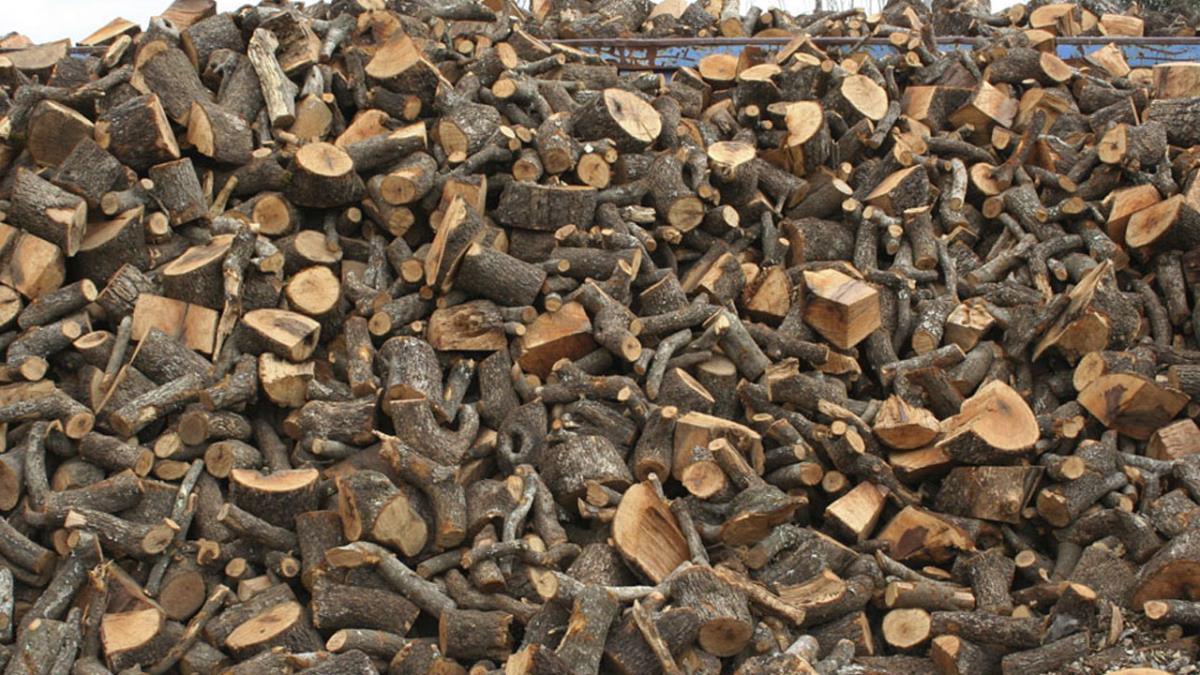 Las labores han comenzado una vez se han revisado todas las calles del municipio