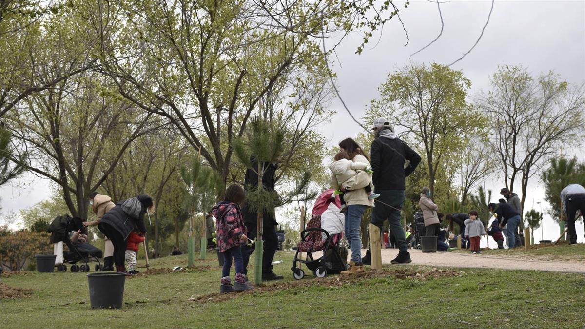 El Ayuntamiento extenderá la iniciativa a aquellos nacidos con anterioridad a la puesta en marcha de las plantaciones homenaje