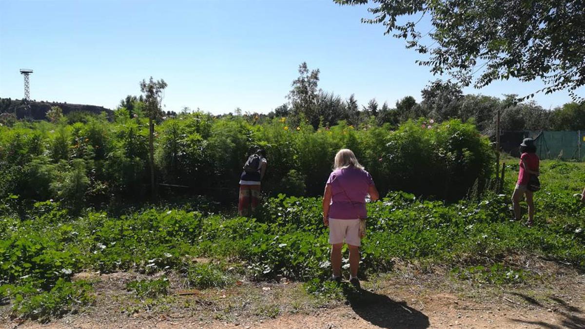 Las actividades recorren los diferentes espacios naturales de la ciudad hasta el 28 de noviembre 
