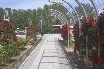 “La inactividad y las lluvias de las últimas semanas han generado la abundancia de malas hierbas que se están procediendo a retirar”