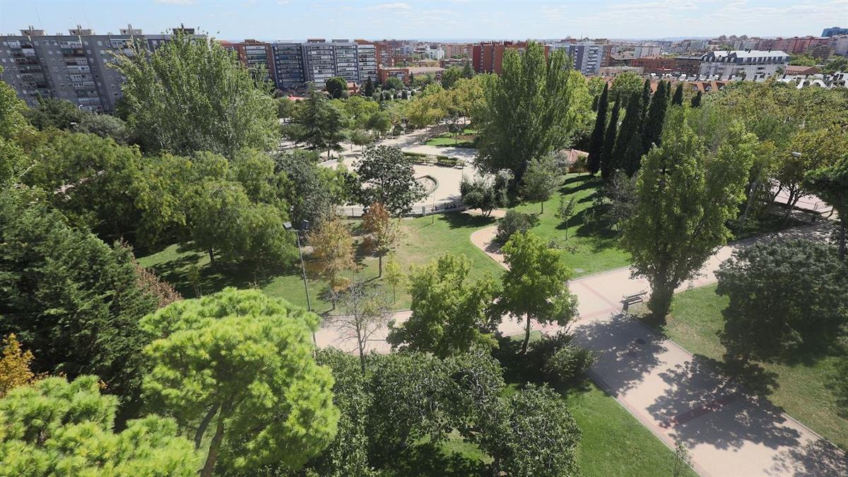 Con las lluvias y el cambio brusco de temperatura, se puede producir la proliferación insectos y otras especies