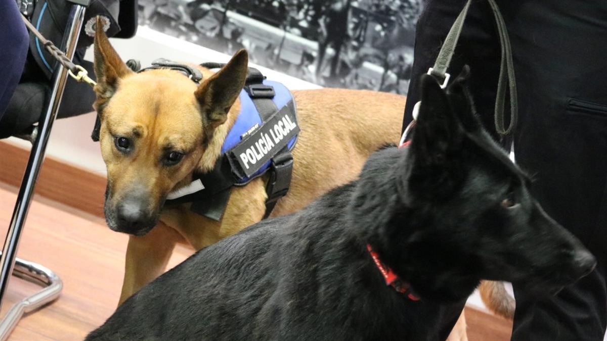 Alcalá pone en marcha su propia unidad canina para intensificar el control