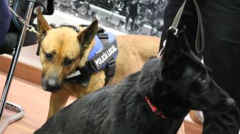 Alcalá pone en marcha su propia unidad canina para intensificar el control