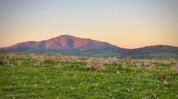 La batida se celebrará el próximo 7 de noviembre entre las 8:00 y las 14:00h