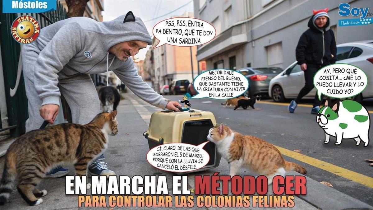 El objetivo es evitar la proliferación descontrolada de estos animales en la vía pública