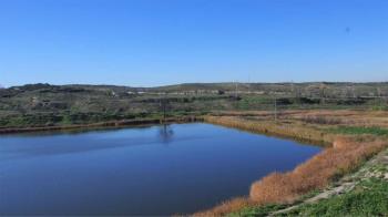 El Ayuntamiento y la Comunidad de Madrid colaboran en la regeneración de la flora y la fauna tras los incendios forestales
