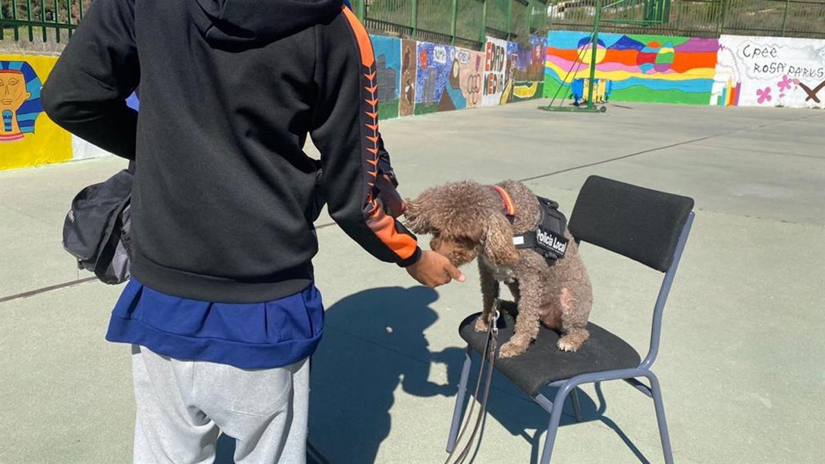 La Unidad Canina de Policía Local ha desarrollado una jornada con el alumnado del Centro de Educación Especial Rosa Parks
