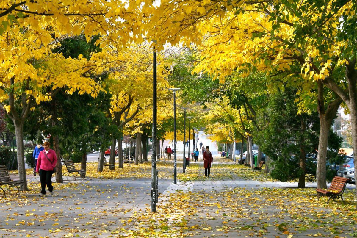 Desde el consistorio están apostando por la capacitación y formación continuada de la plantilla