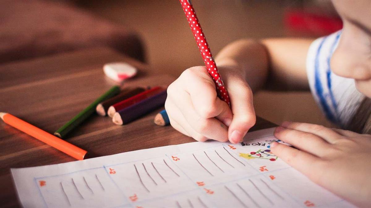 CRIA regresa con nuevas actividades para los más pequeños 