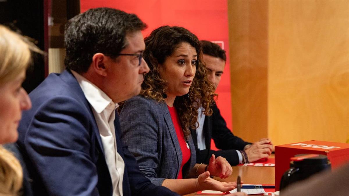La socialista cree que la iniciativa "llega tarde" porque "la industria cada vez está más frágil en Madrid"