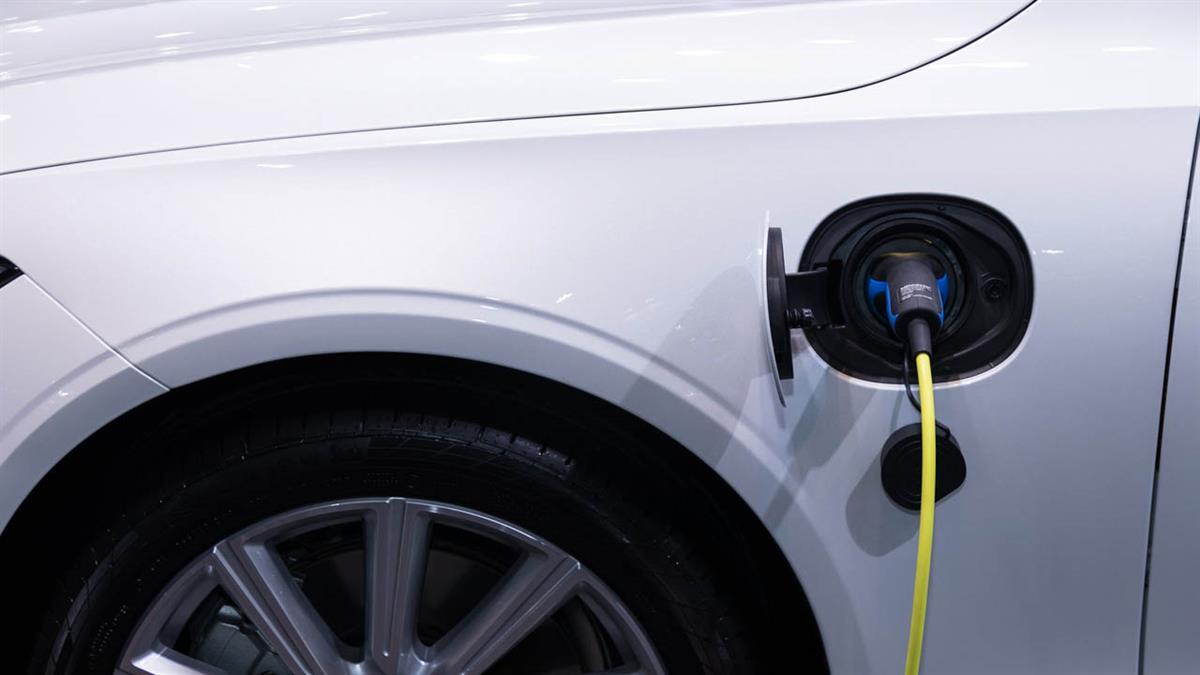 Lamentan, sin embargo, el rechazo a otras iniciativas de calado 