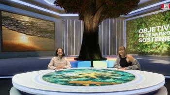 El contexto de los ODS y sus 17 puntos 