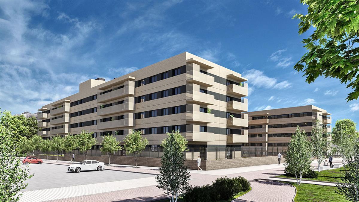 Te contamos cuáles son los requisitos de acceso