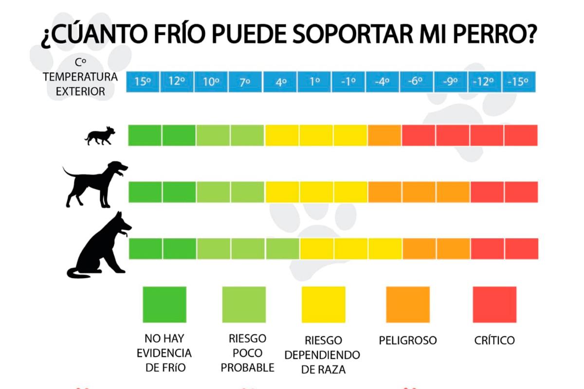 Consejos y recomendaciones de la Dirección General de Derechos de los Animales