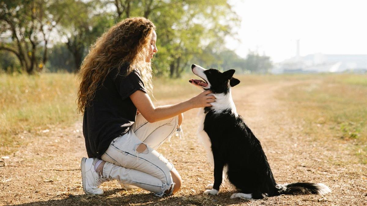 El Ayuntamiento organiza el primer encuentro canino del municipio con un recorrido entre los parques de El Soto y la Malata