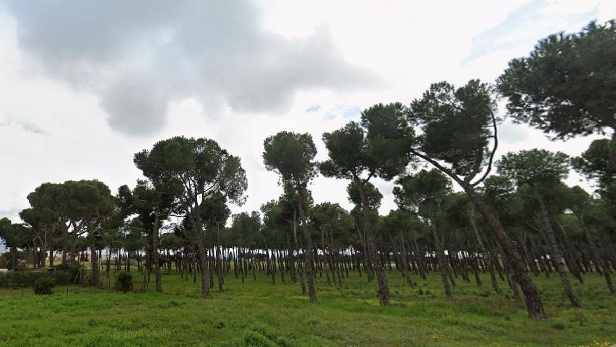 El Ayuntamiento continua con las labores de mantenimiento del pueblo, a pesar de las lluvias y actúa en caminos, parques y espacios verdes para mejorar su conservación