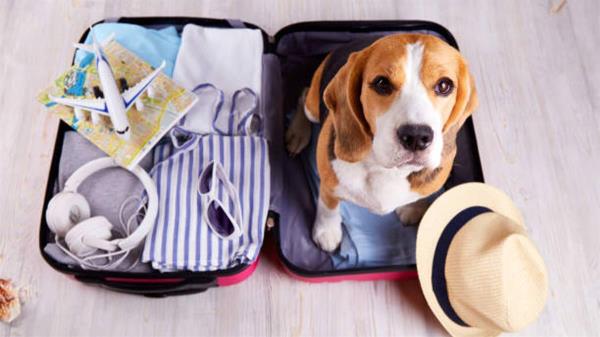 Si la respuesta es afirmativa, ¡sigue estos consejos! 