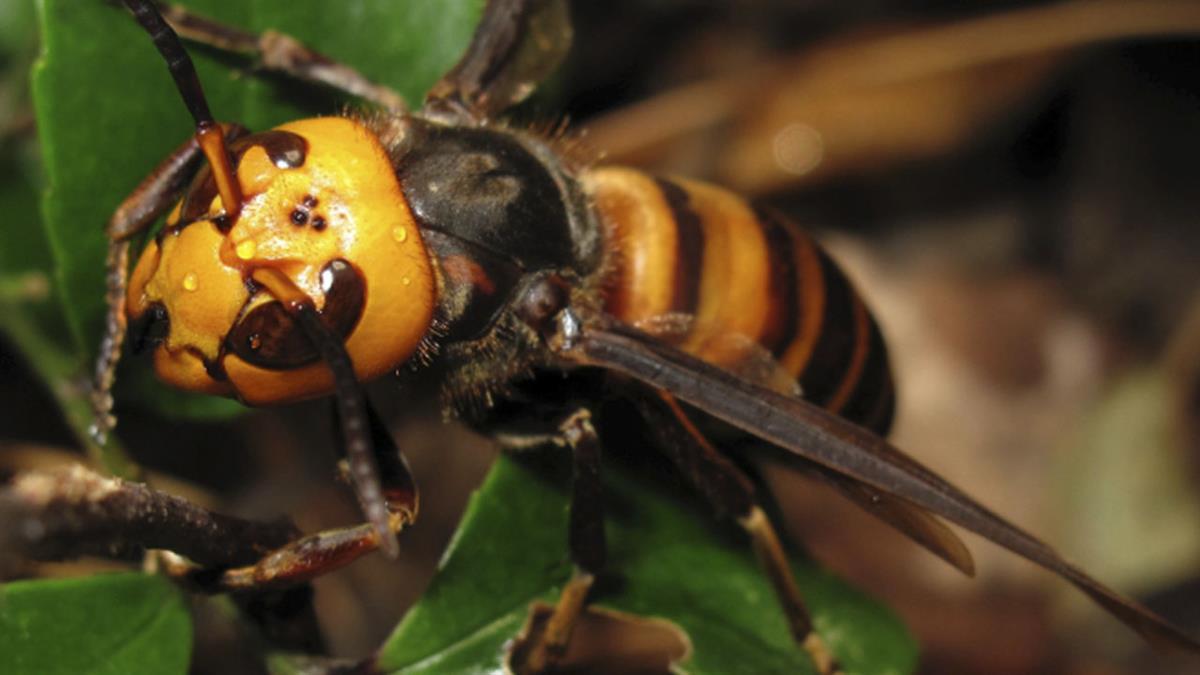 Ten en cuenta estas recomendaciones de la Comunidad de Madrid