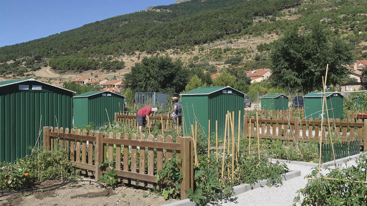 Ya puedes optar a uno de los huertos sociales en La Olmeda y Talabares