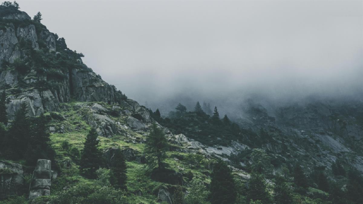 El Ayuntamiento lanza esta nueva propuesta formativa dirigida a monitores